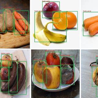 FruitQ: a new dataset of multiple fruit images for freshness.
